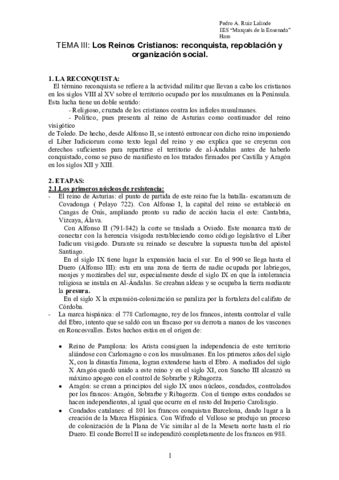 TEMA-III.pdf