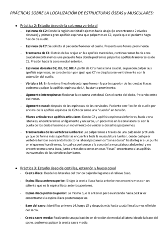 PRACTICAS-SOBRE-LA-LOCALIZACION-DE-ESTRUCTURAS-OSEAS.pdf