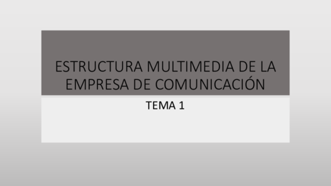 T-1MULTIMEDIADELAEMPRESA.pdf