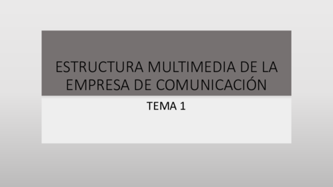 T-1MULTIMEDIADELAEMPRESA.pdf