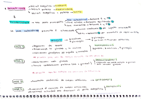 esquemas-patologia-1.pdf