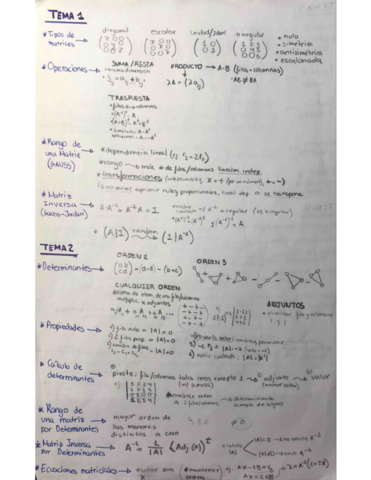 Apuntes-Matrices-determinantes-y-programacion-lineal-.pdf