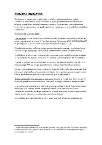 ENZIMAS.pdf