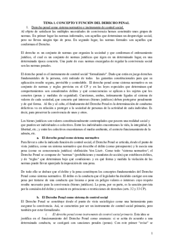 TEMA-1-DERECHO-PENAL.pdf