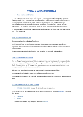 tema 6.pdf