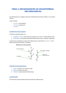 tema 9.pdf