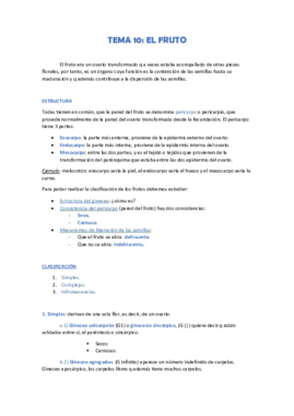 tema 10.pdf