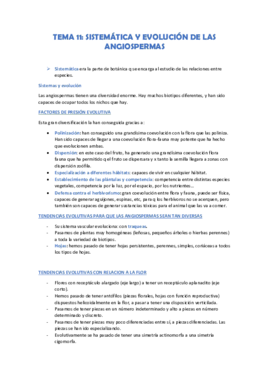 tema 11.pdf