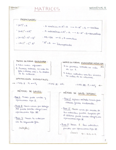 MATRICES-1.pdf