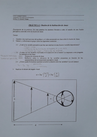 PRACTICAS-1-9-PERCEPCION.pdf