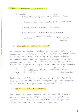 Resumen-Teoria-Organica-II.pdf