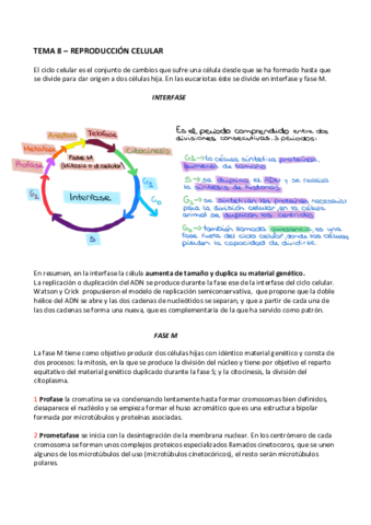 TEMA-8-BIOLOGIA.pdf