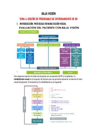 TEMA-4-DISENO-DE-PROGRAMAS-DE-ENTRENAMIENTO-EN-BV.pdf