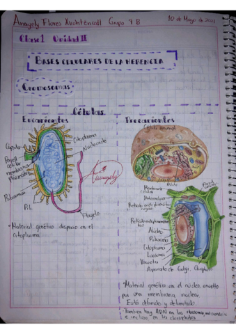 Clase-1-unidad-2-Flores-Xicohtencatl-Anayely.pdf