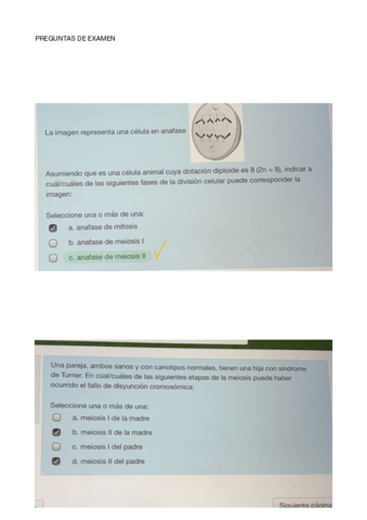 PREGUNTAS-DE-EXAMEN-DE-GENETICA.pdf