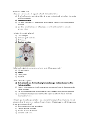 NEUROANATOMAA-2020.pdf