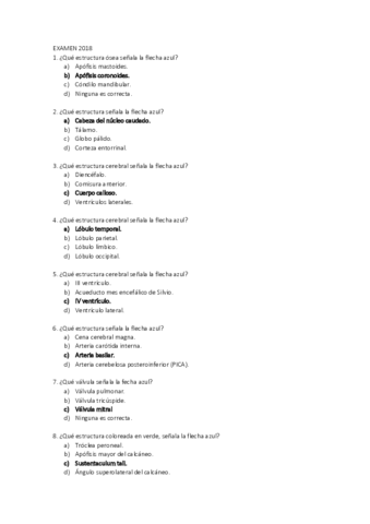 NEUROANATOMAA-2018-respuestas.pdf