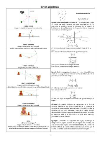 resumenopticaselectividad.pdf