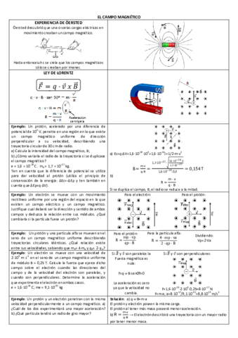 resumenselectividadmagnetico.pdf