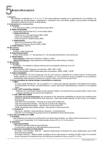 05Acnucleicos.pdf