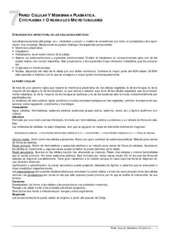 07Paredymembrana.pdf