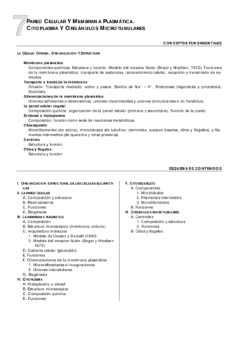 07Paredymembrana-esq.pdf