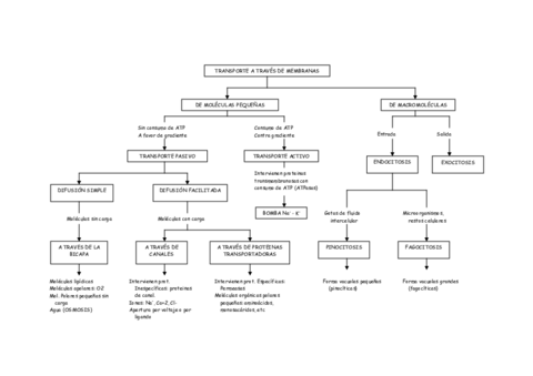 07transportemembranas.pdf