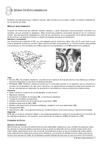 08Endomembranas.pdf