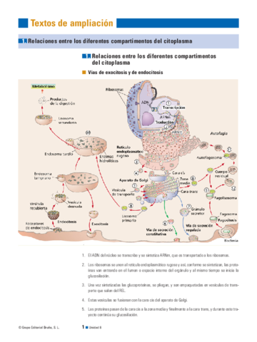 09endoexocitosis.pdf