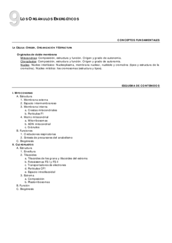 09Organulosenergeticos-esq.pdf