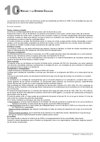 10Nucleoydivision.pdf