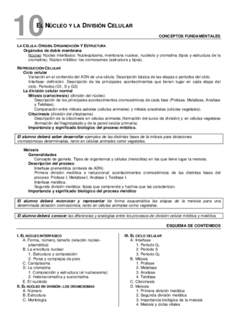 10Nucleoydivision-esq.pdf