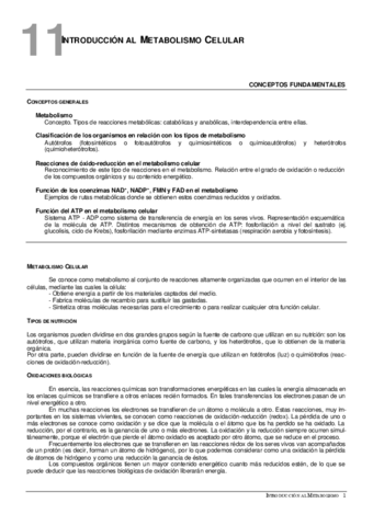 11IntroduccionMetabolismo.pdf