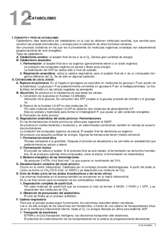 12-Catabolismo.pdf