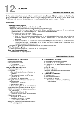 12Catabolismo-esq.pdf