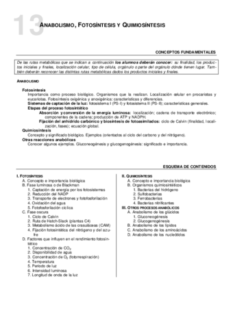 13Anabolismofoto-yquimiosintesisesq.pdf