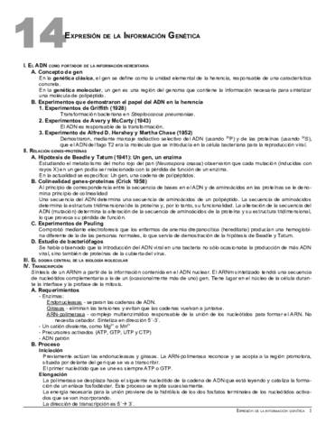 14Expresiongenes.pdf
