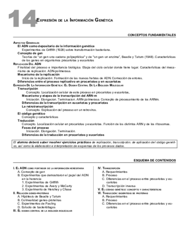 14Expresiongenesesq.pdf