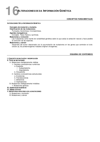 16Mutacionesesq.pdf