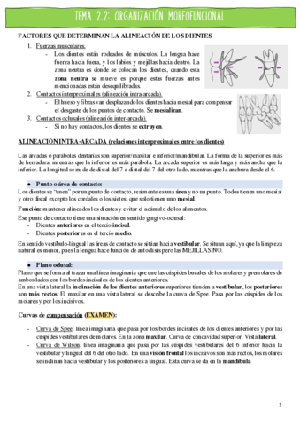 tema-2.pdf