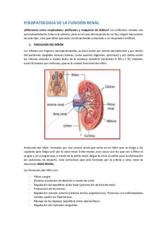 FISIOPATOLOGIA-DE-LA-FUNCION-RENAL.pdf