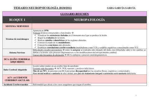 Temario-Neuropsicologia-Curso-2020-2021.pdf