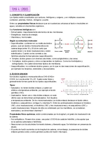 Lipidos-.pdf