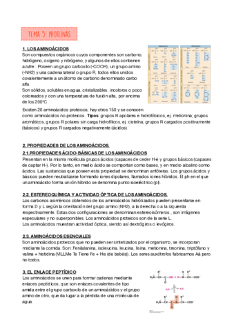 PROTEINAS.pdf