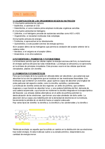 TEMA-13-BIOLOGIA.pdf