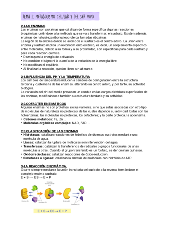 TEMA-11-BIOLOGIA.pdf