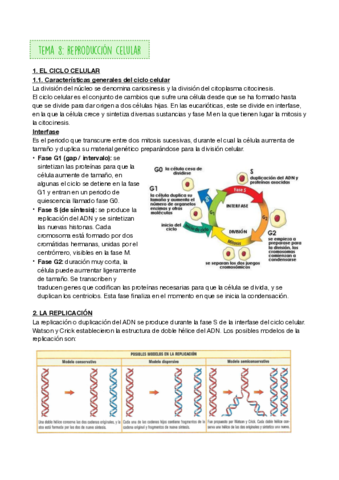 REPRODUCCION-CELULAR-.pdf