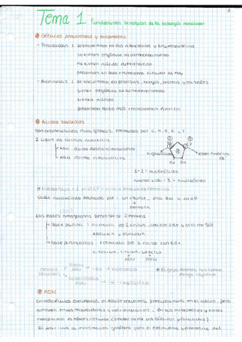 TEMA-1-FUNDAMENTOS-BIOLOGICOS.pdf