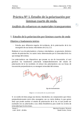 Práctica Nº 1.pdf