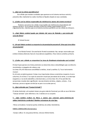 ACTIVIDADES DE PREPARACIÓN 2 .pdf